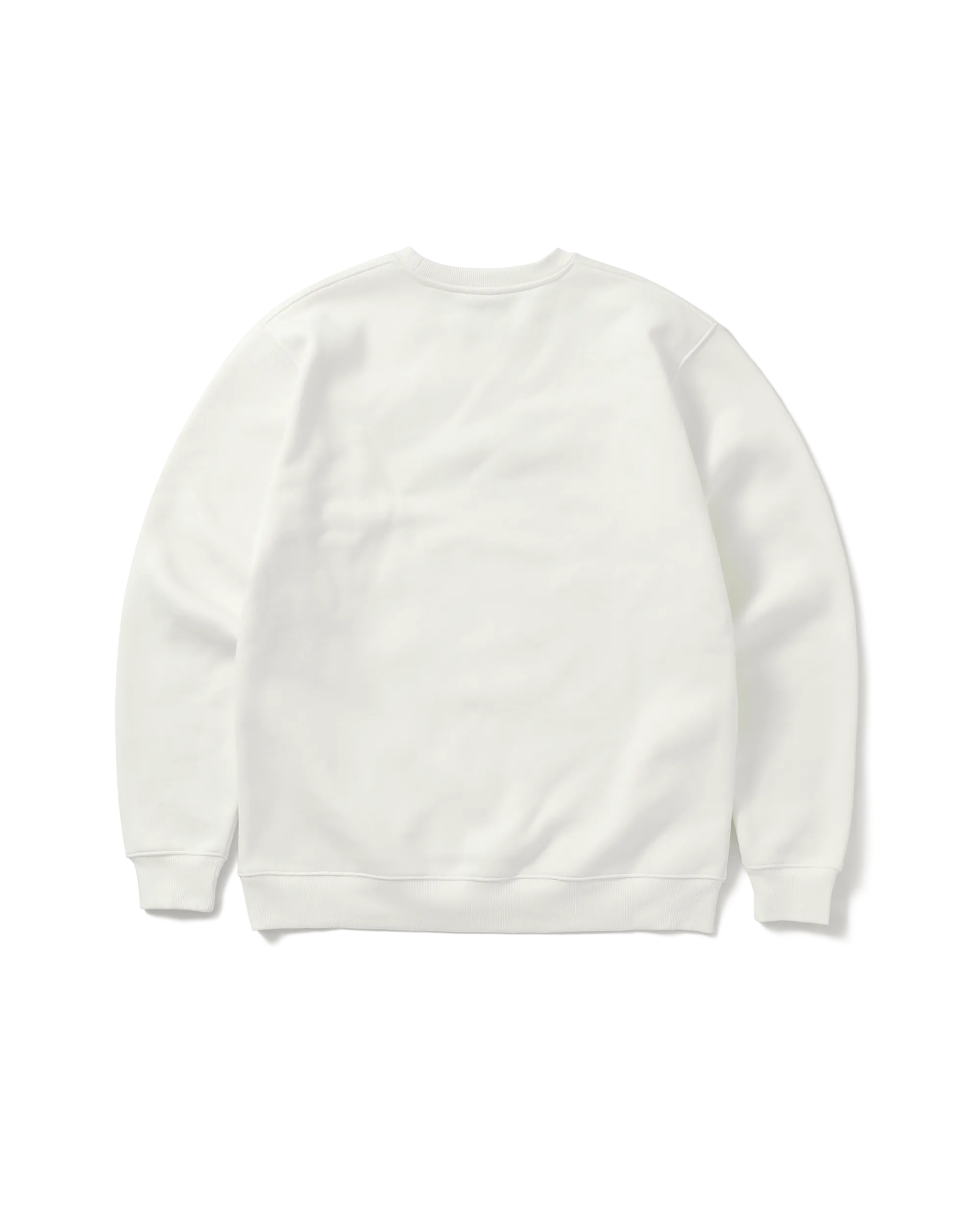 3CCD CREWNECK SWEATSHIRT