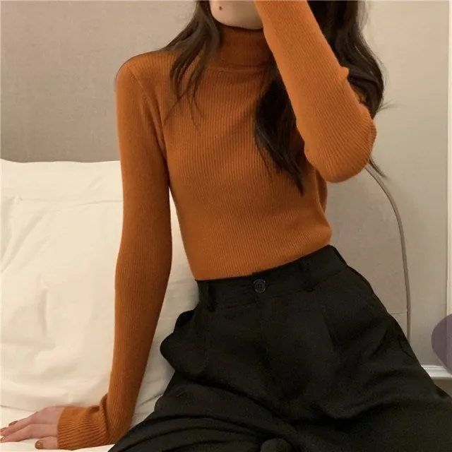 deanwangkt Turtleneck Pullovers Sweaters Women  Autumn Winter Primer Shirt Long Sleeve Short Slim-fit tight Jumper Tops Solid