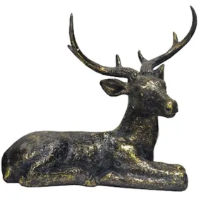 Lying down deer   Click N Collect