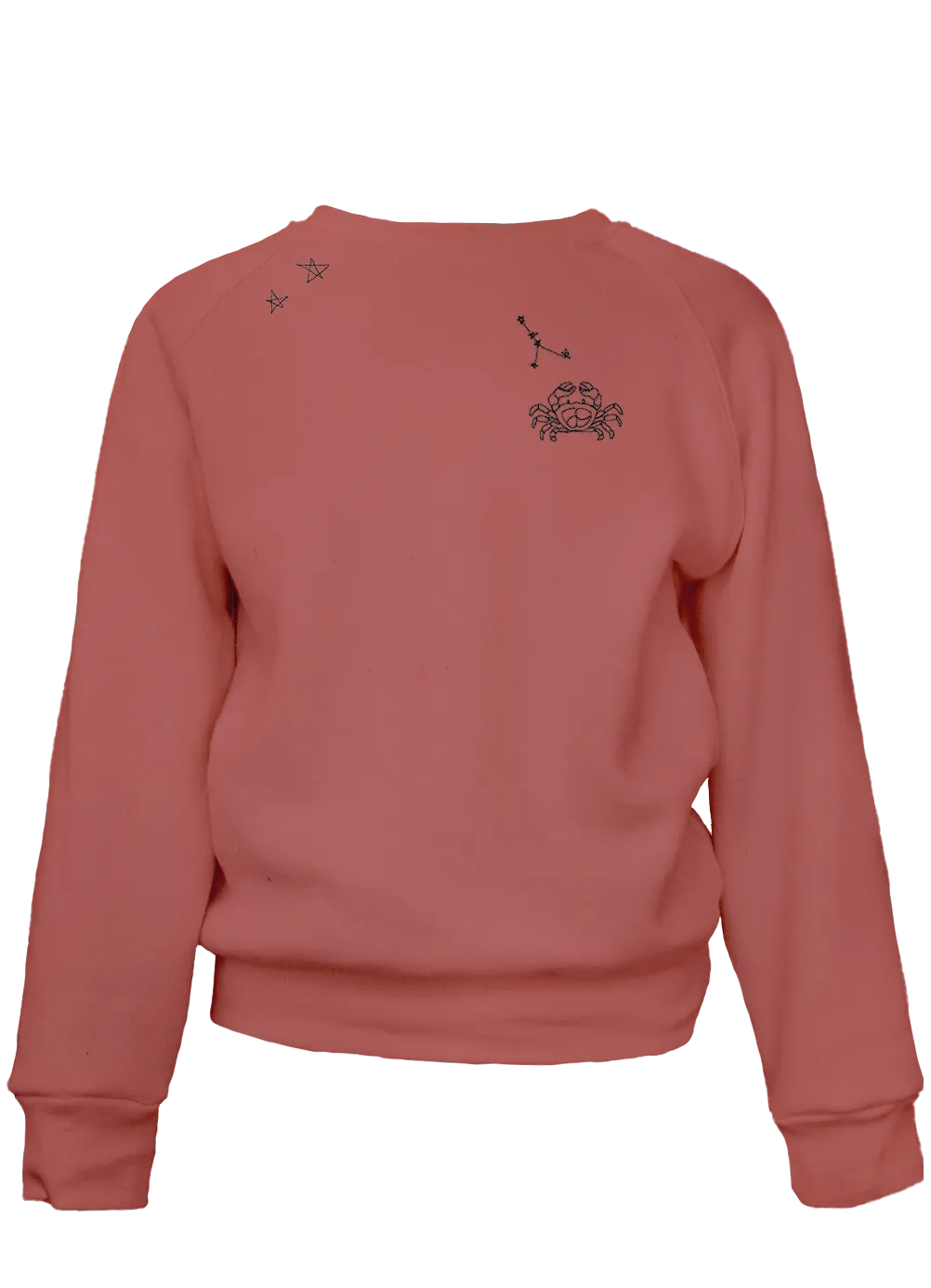 Zodiac Attack Kids' Classic Crew Pullover